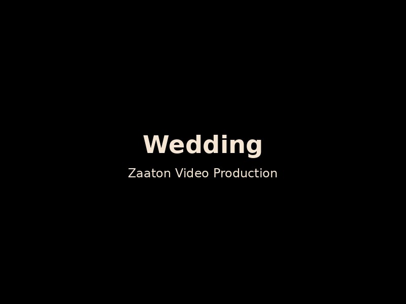 Wedding Videography